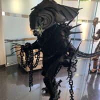 IMG_0570