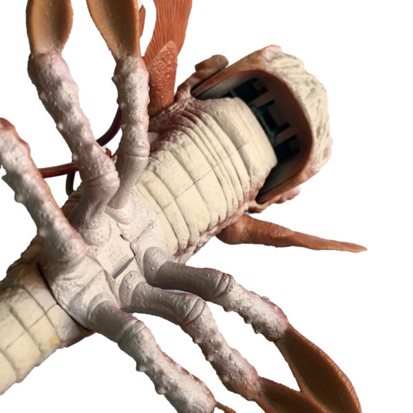 Star Wars Episode 1 Opee Sea Killer 9-inch (21cm) Naboo Monster Fish (with Opening Jaws) 1998 Hasbro (ex-Display Stock) - Image 7