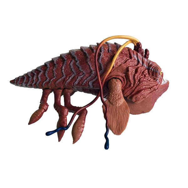 Star Wars Episode 1 Opee Sea Killer 9-inch (21cm) Naboo Monster Fish (with Opening Jaws) 1998 Hasbro (ex-Display Stock) - Image 5