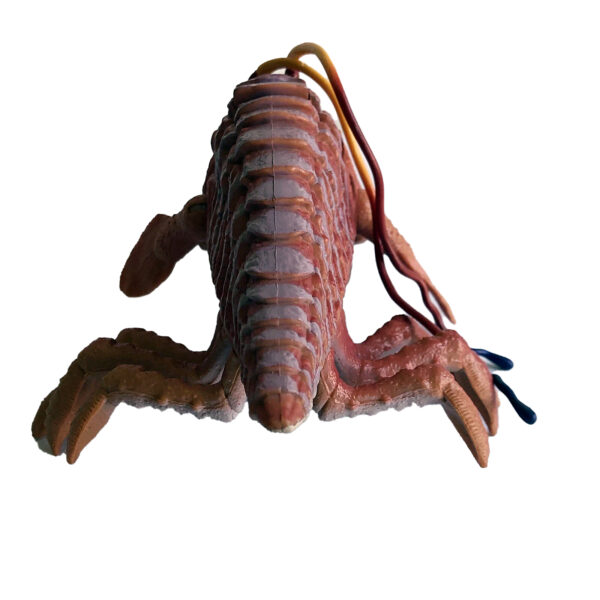 Star Wars Episode 1 Opee Sea Killer 9-inch (21cm) Naboo Monster Fish (with Opening Jaws) 1998 Hasbro (ex-Display Stock) - Image 4