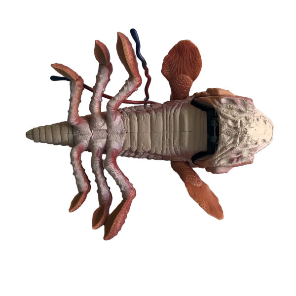 Star Wars Episode 1 Opee Sea Killer 9-inch (21cm) Naboo Monster Fish (with Opening Jaws) 1998 Hasbro (ex-Display Stock) - Image 3